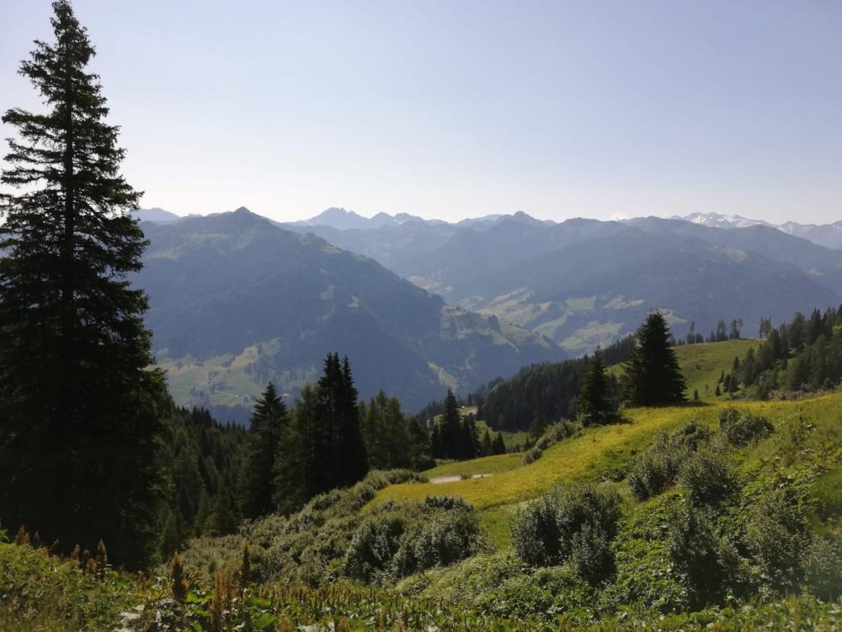 Appartement Tauernlife Schwarzach im Pongau Ngoại thất bức ảnh